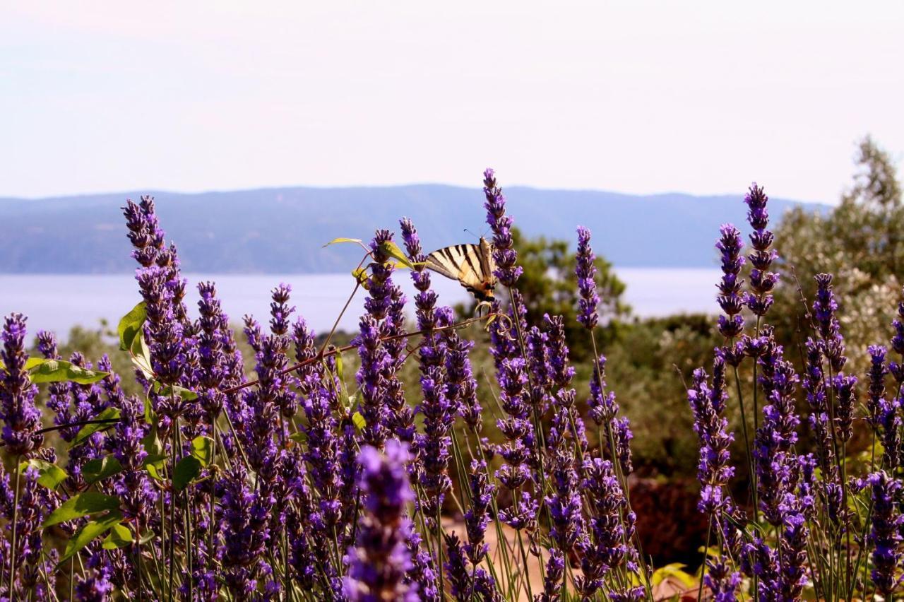 Boutique B&B Agroturizam Sv. Juraj Vrh  Buitenkant foto